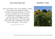 Das-ist-nicht-Sommer-mehr-Flaischlen.pdf
